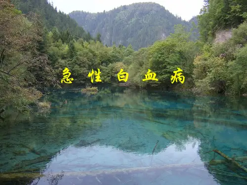 急性白血病---精品医学课件