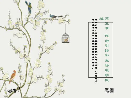 生物能学与生物氧化