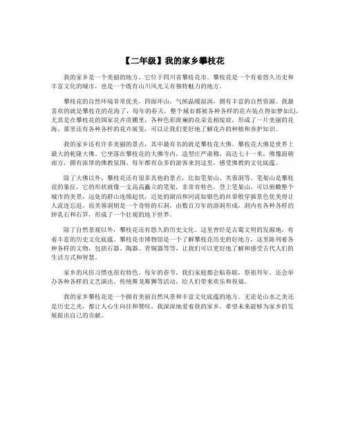 【二年级】我的家乡攀枝花