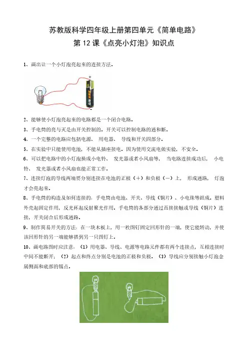 苏教版科学四年级上册第四单元《简单电路》第12课《点亮小灯泡》知识点和练习