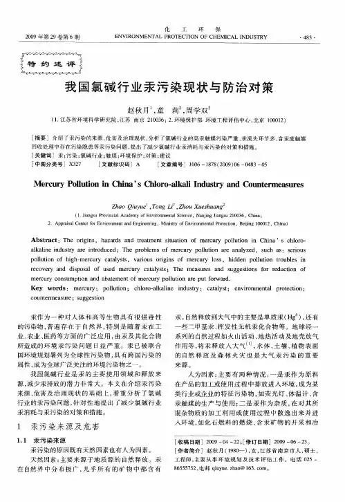 我国氯碱行业汞污染现状与防治对策