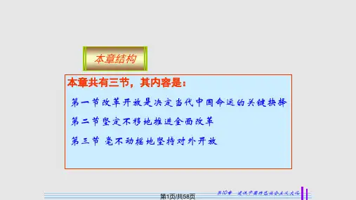 第七讲社会主义改革和对外开放PPT课件