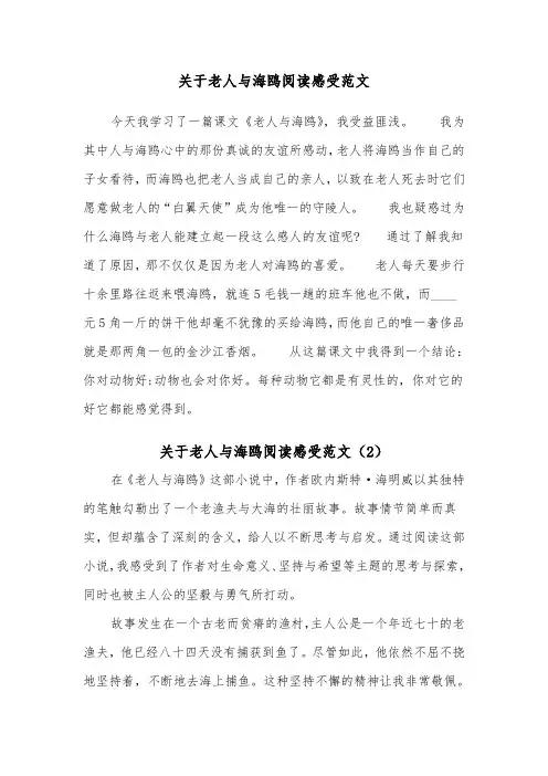 关于老人与海鸥阅读感受范文（2篇）