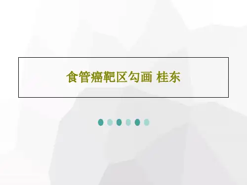 食管癌靶区勾画 桂东105页PPT