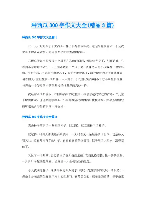 种西瓜300字作文大全(精品3篇)