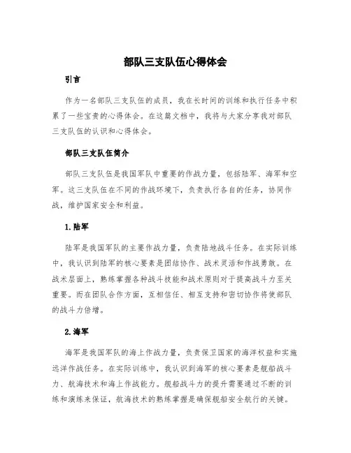 部队三支队伍心得体会