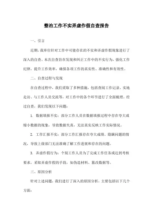 整治工作不实弄虚作假自查报告