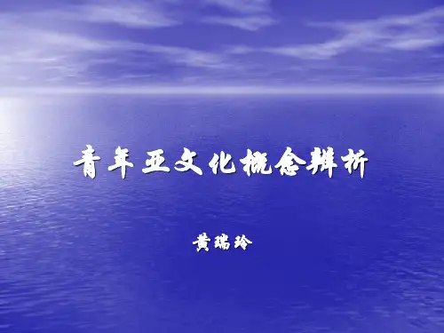 青年亚文化的概念辨析