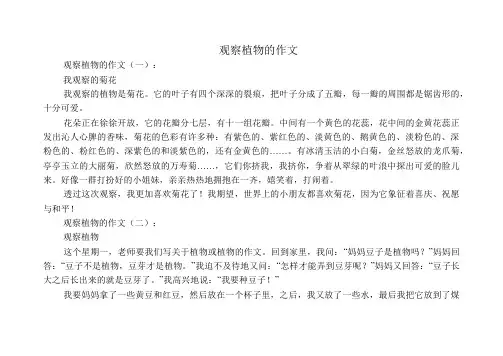 观察植物的作文12篇