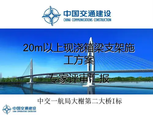20m以上现浇箱梁支架施工方案专家评审汇报