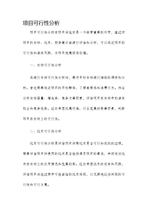 项目可行性分析