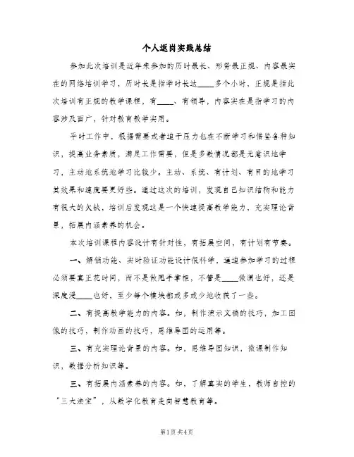 个人返岗实践总结（2篇）