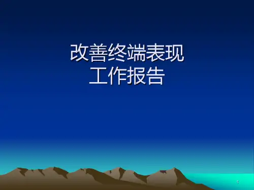 改善产品在超市终端的表现PPT课件
