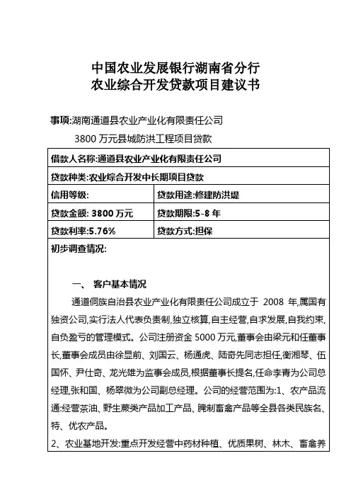 县城防洪堤项目建议书
