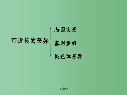 (新课标)高中生物《染色体变异》课件23 新人教版必修2