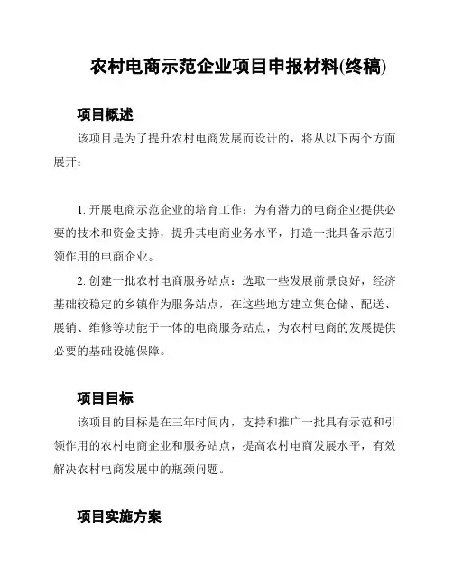 农村电商示范企业项目申报材料(终稿)