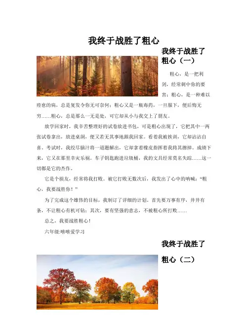 我终于战胜了粗心(共10篇)