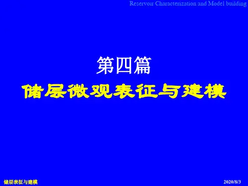 储层微观表征与建模