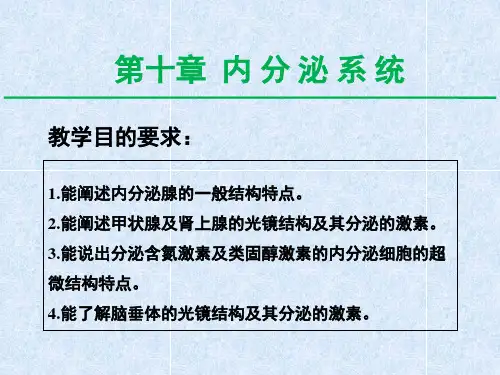 组织学与胚胎学课件-内分泌系统(1)