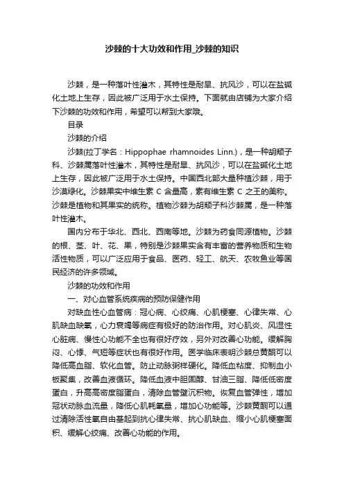 沙棘的十大功效和作用_沙棘的知识