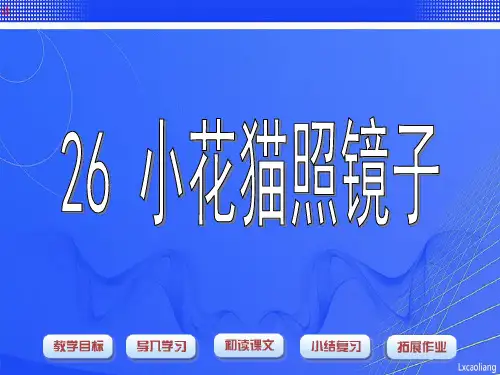 沪教版一年级语文下册《小花猫照镜子》课件