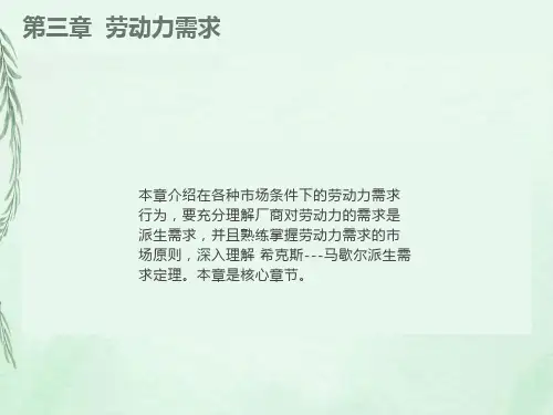 《劳动力需求》课件