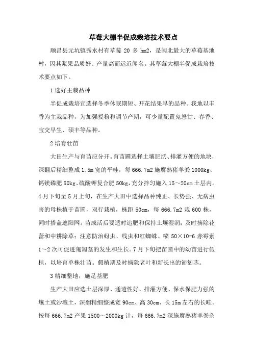 草莓大棚半促成栽培技术要点