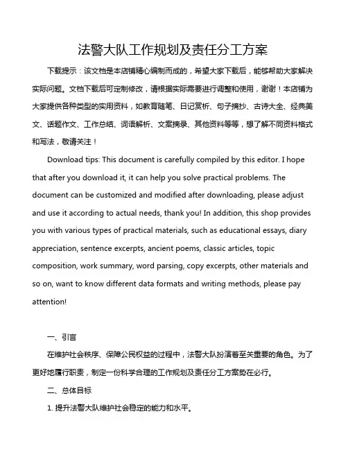 法警大队工作规划及责任分工方案