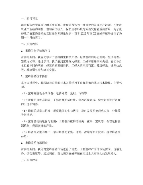 蜜蜂养殖实习报告