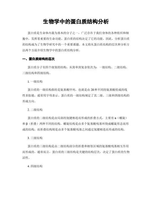 生物学中的蛋白质结构分析