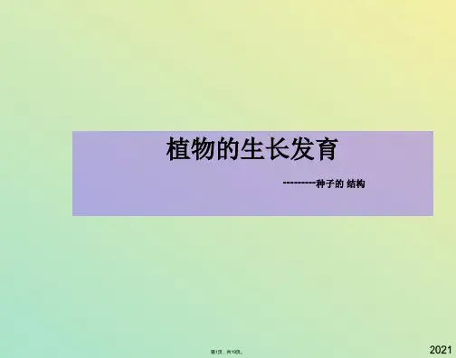 生物八年级上苏科版植物的生长发育课件(与“种子”有关文档共19张)