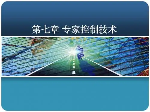 专家系统