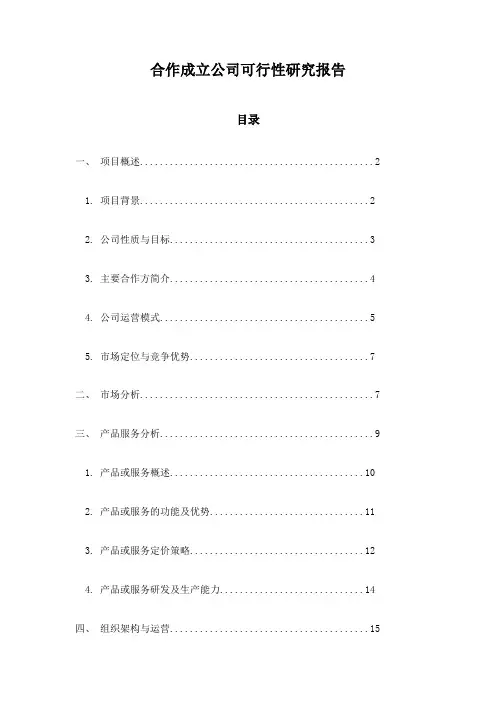 合作成立公司可行性研究报告