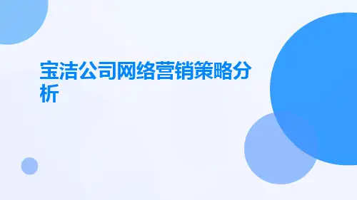 宝洁公司网络营销策略分析