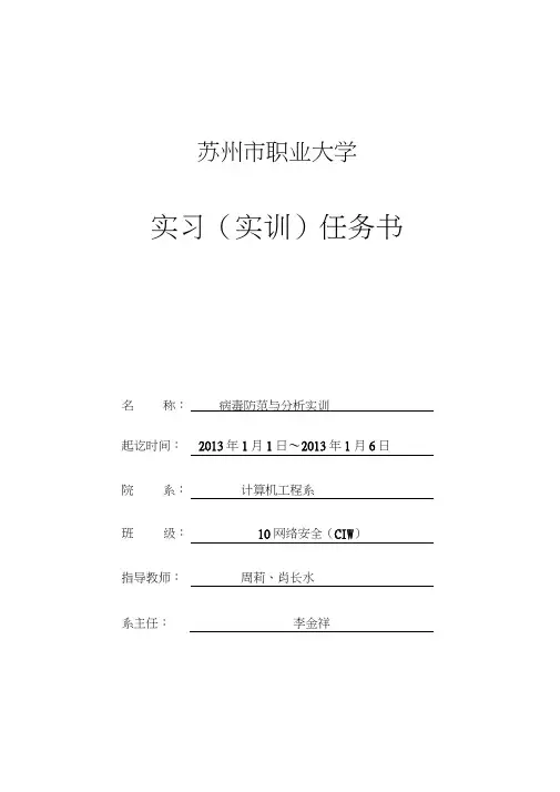 病毒防范与分析实训报告