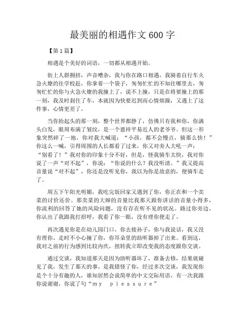 最美丽的相遇作文600字