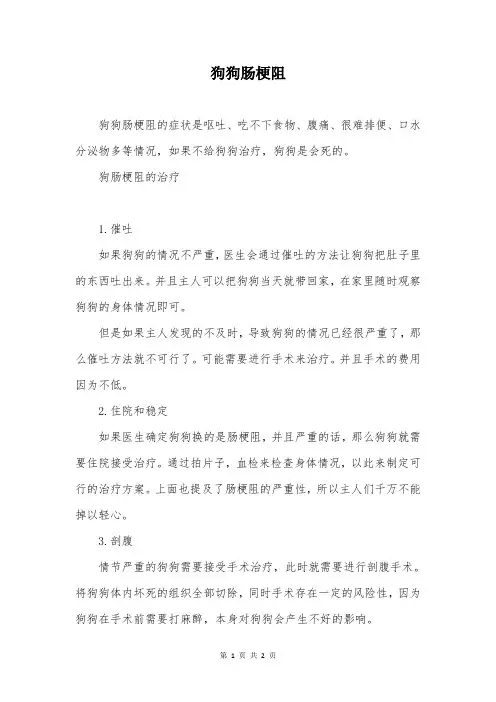 狗狗肠梗阻