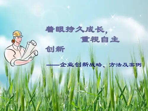 企业创新战略、方法及案例幻灯片PPT