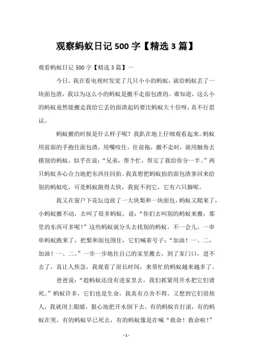 观察蚂蚁日记500字【3篇】