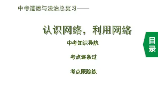 中考道德与法治总复习《认识网络,利用网络》