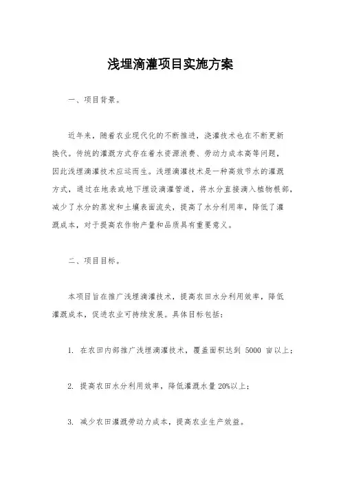 浅埋滴灌项目实施方案