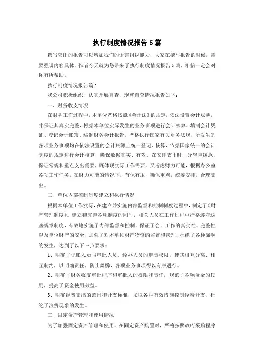 执行制度情况报告5篇