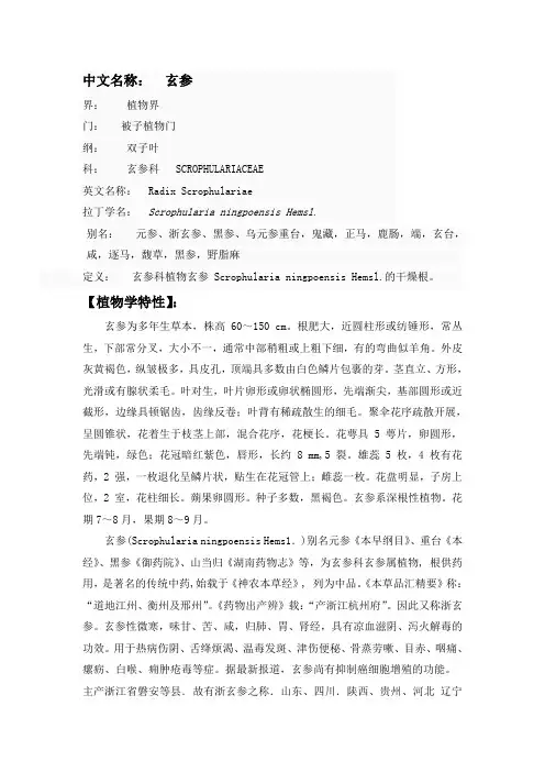 中药资源玄参