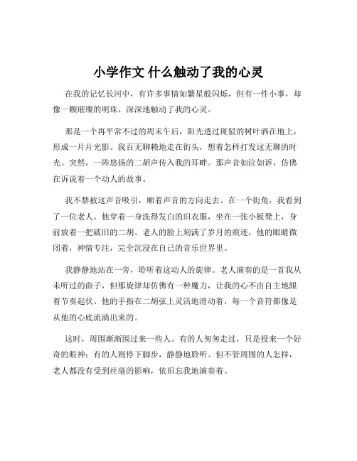 小学作文 什么触动了我的心灵