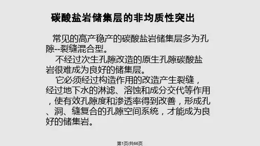 碳酸盐岩测井储层评价PPT课件