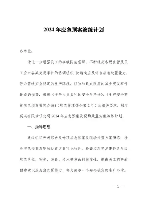 2024年度应急演练计划