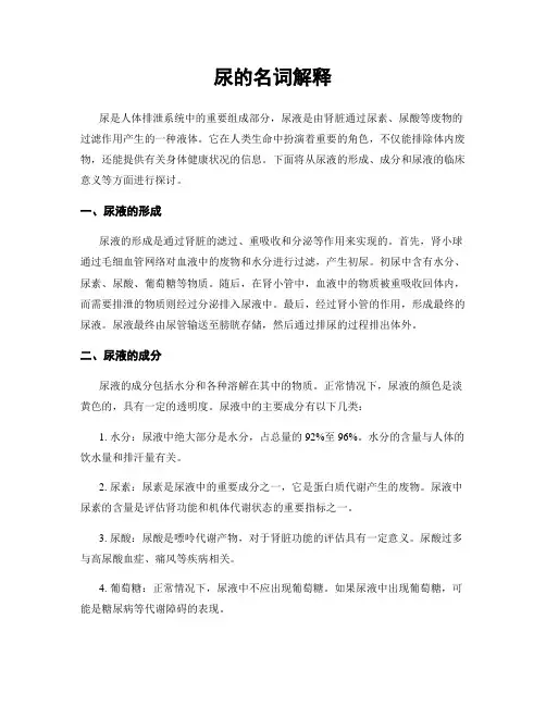 尿的名词解释
