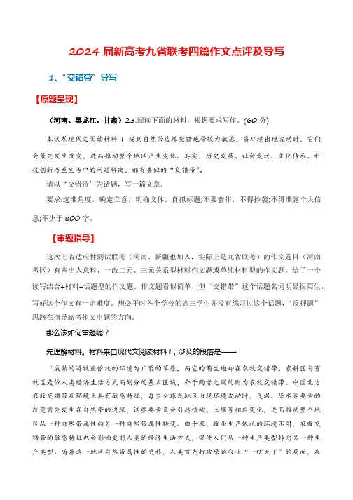 2024届新高考语文九省联考四篇作文点评及导写 (审题指导+立意参考+名师下水范文)