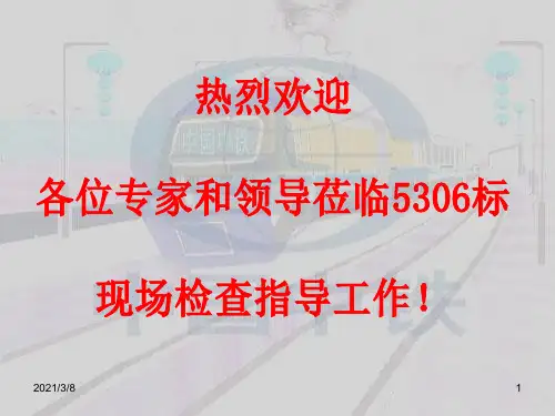 《太安高边坡》PPT课件