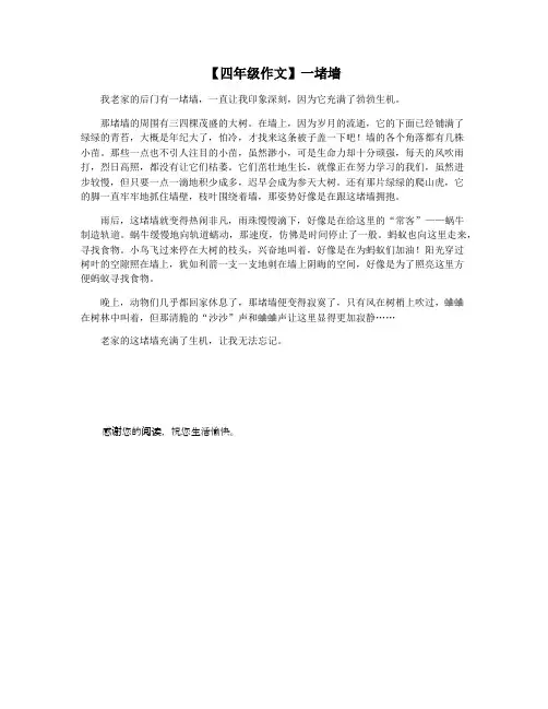 【四年级作文】一堵墙